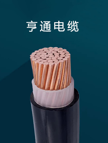 選擇我們的6個理由